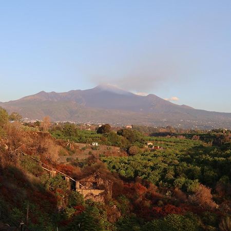 Il Pampaleone Glamping And Resort Acireale Eksteriør bilde