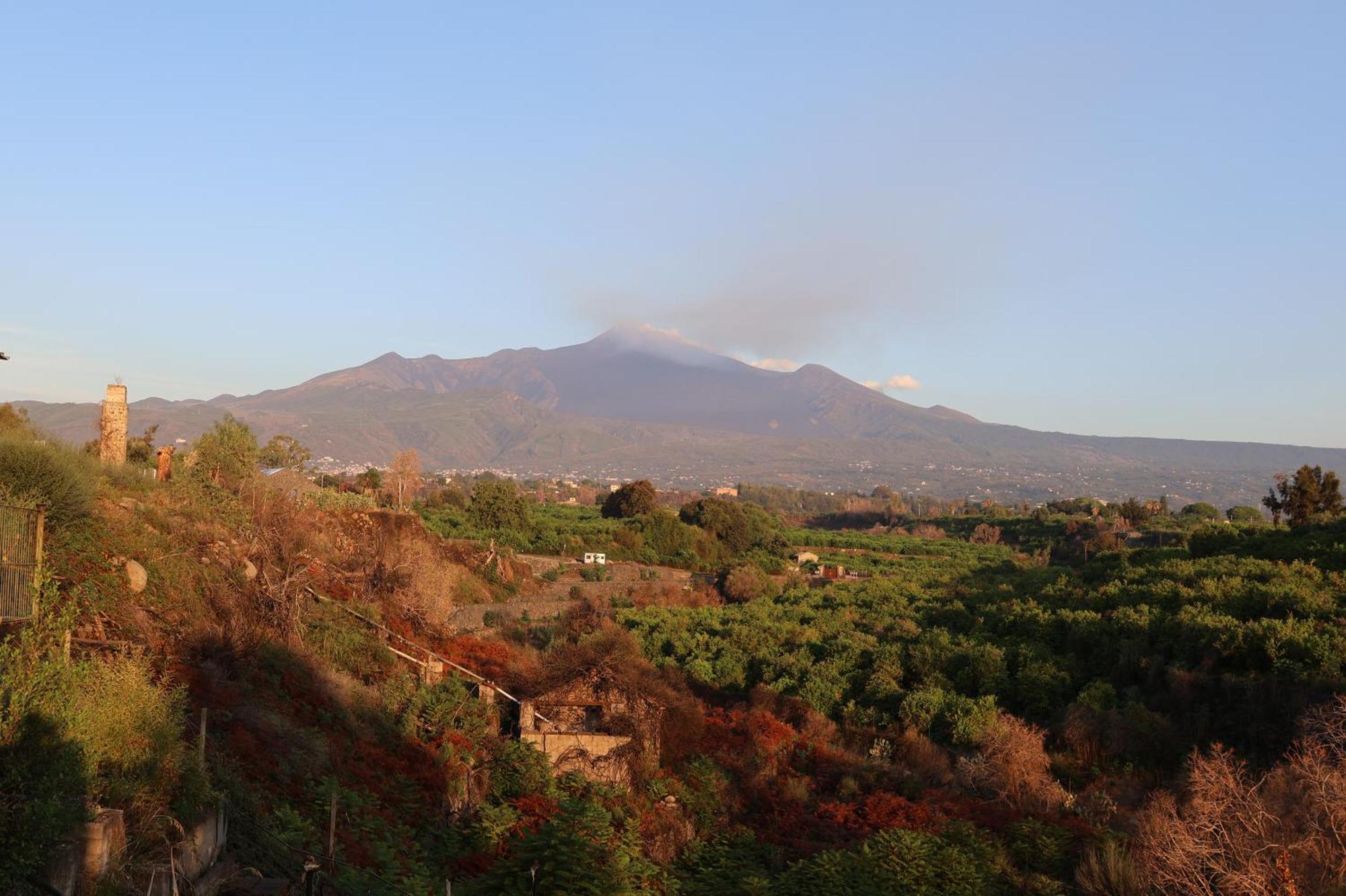 Il Pampaleone Glamping And Resort Acireale Eksteriør bilde
