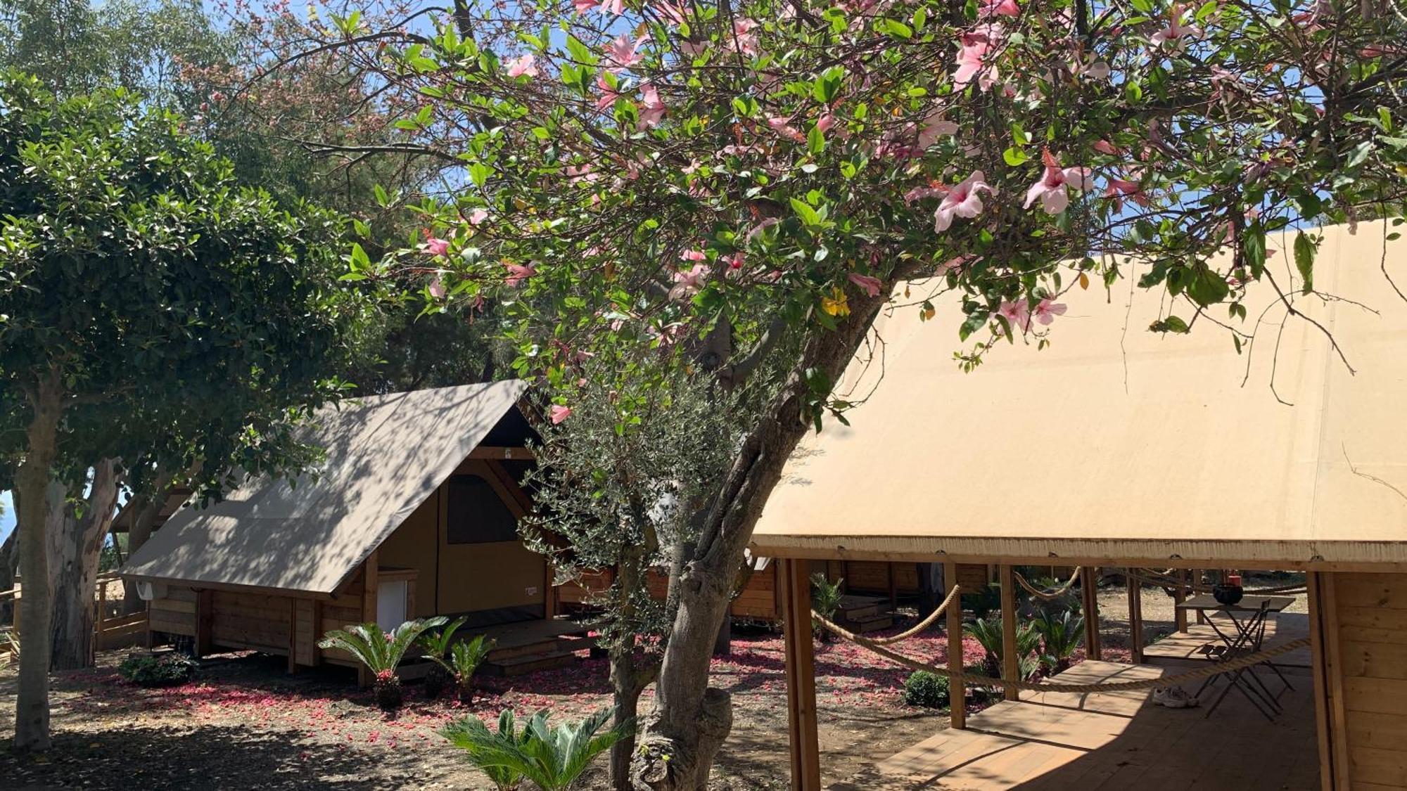 Il Pampaleone Glamping And Resort Acireale Eksteriør bilde